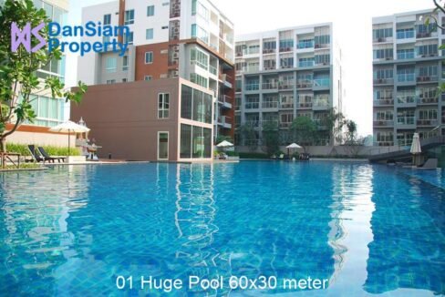 01 Huge Pool 60x30 meter