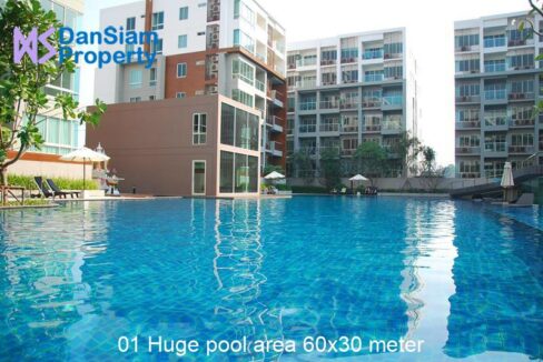 01 Huge pool area 60x30 meter