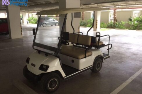 06 Golf cart for local driving 1