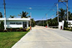 01 Palm Villas Community 1