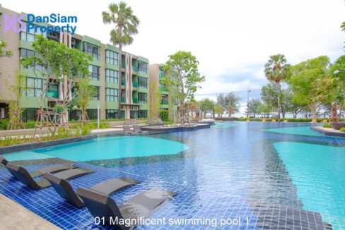 01 Magnificent swimming pool 1