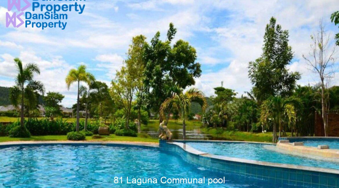 81 Laguna Communal pool