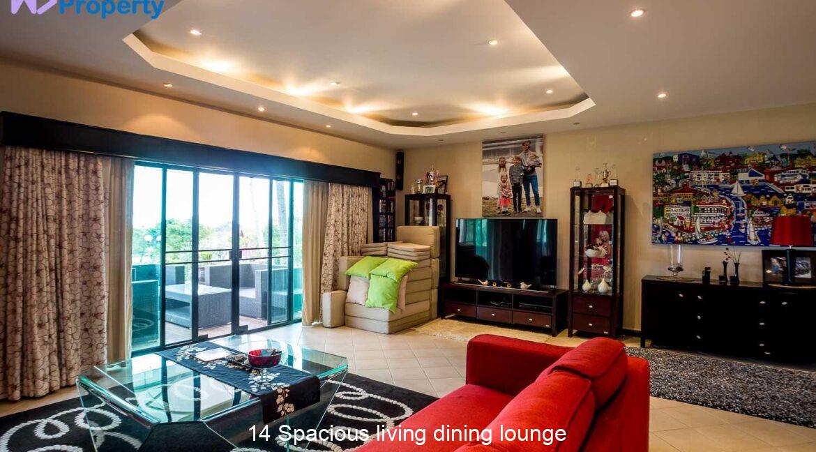 14 Spacious living dining lounge