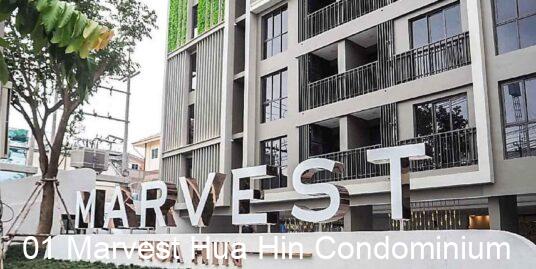 Luxury 1-Bed Condo at Marvest Hua Hin Condominium