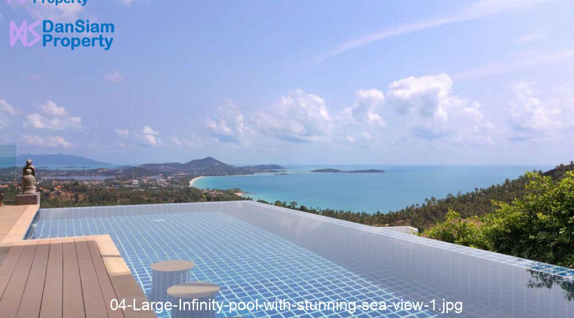 04-Large-Infinity-pool-with-stunning-sea-view-1.jpg