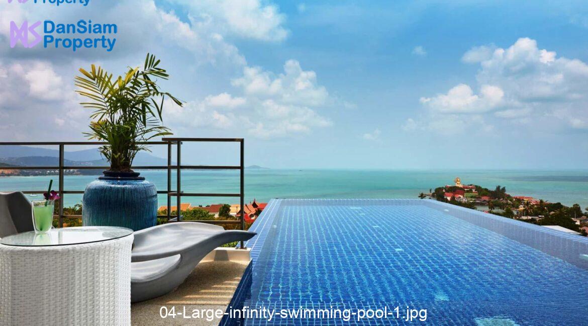 04-Large-infinity-swimming-pool-1.jpg