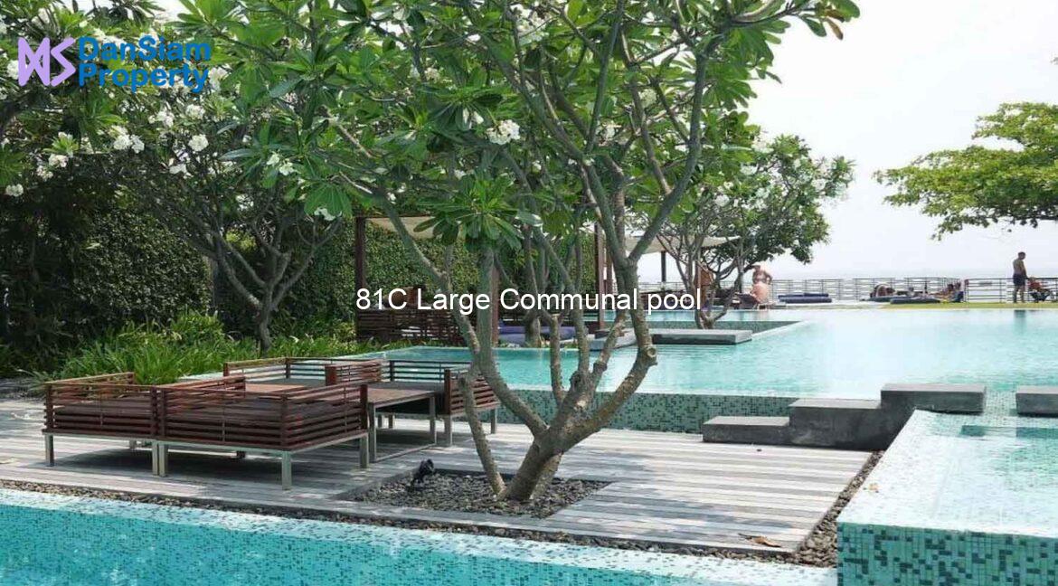 81C Large Communal pool