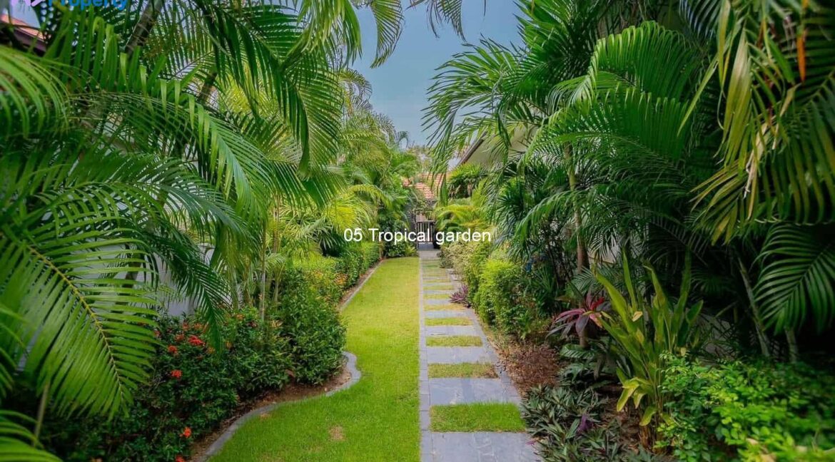 05 Tropical garden