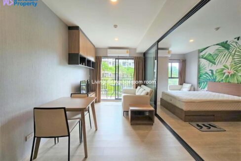 11 Living-dining-bedroom room