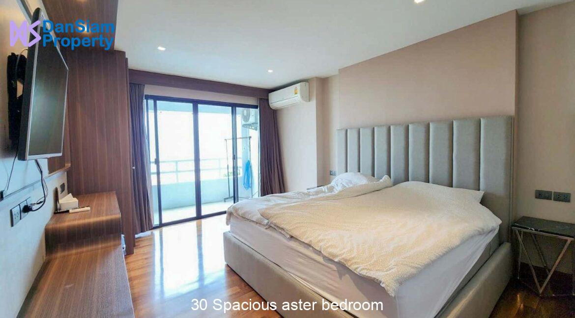 30 Spacious aster bedroom