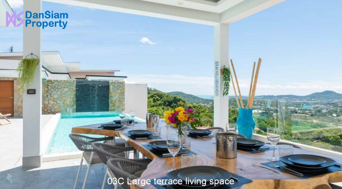 03C Large terrace living space