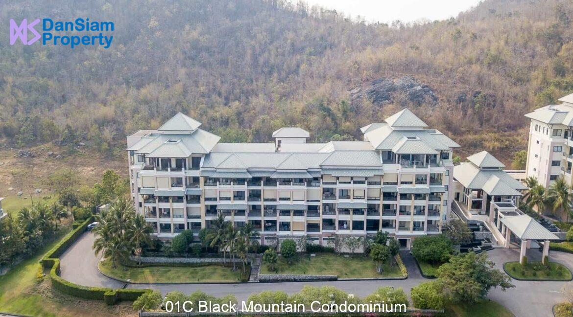 01C Black Mountain Condominium