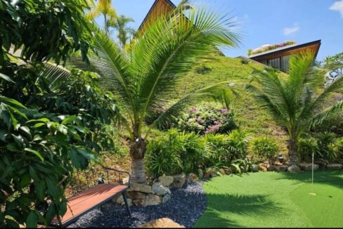 06 Large tropical garden