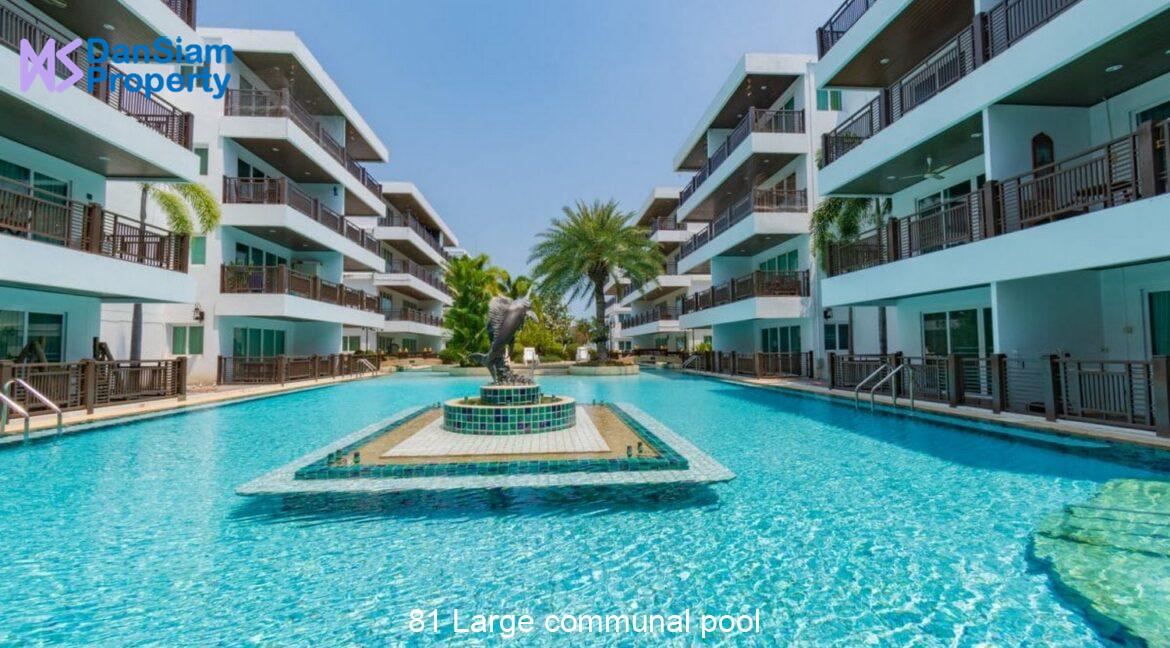 81 Large communal pool